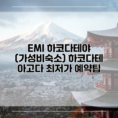 EMI 하코다테야 (가성비숙소) 하코다테 아고다 최저가 예약팁