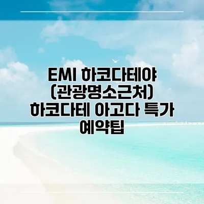 EMI 하코다테야 (관광명소근처) 하코다테 아고다 특가 예약팁