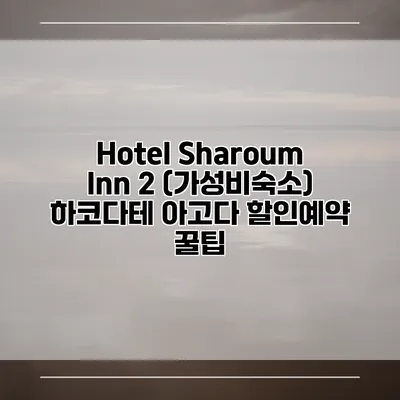 Hotel Sharoum Inn 2 (가성비숙소) 하코다테 아고다 할인예약 꿀팁