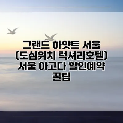 그랜드 하얏트 서울 (도심위치 럭셔리호텔) 서울 아고다 할인예약 꿀팁