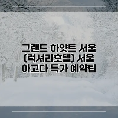 그랜드 하얏트 서울 (럭셔리호텔) 서울 아고다 특가 예약팁