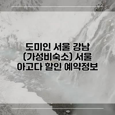 도미인 서울 강남 (가성비숙소) 서울 아고다 할인 예약정보