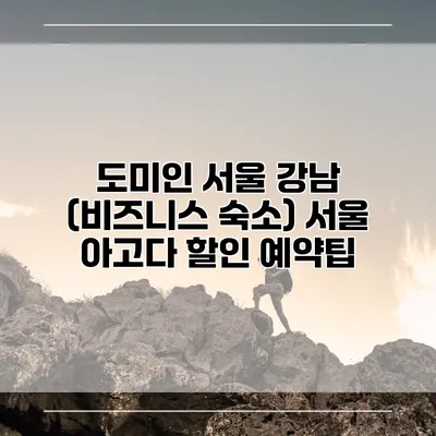 도미인 서울 강남 (비즈니스 숙소) 서울 아고다 할인 예약팁