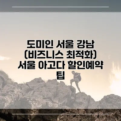 도미인 서울 강남 (비즈니스 최적화) 서울 아고다 할인예약 팁