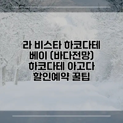 라 비스타 하코다테 베이 (바다전망) 하코다테 아고다 할인예약 꿀팁