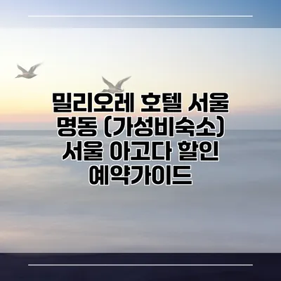 밀리오레 호텔 서울 명동 (가성비숙소) 서울 아고다 할인 예약가이드