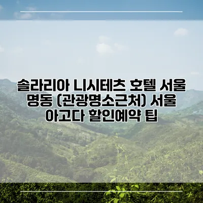 솔라리아 니시테츠 호텔 서울 명동 (관광명소근처) 서울 아고다 할인예약 팁