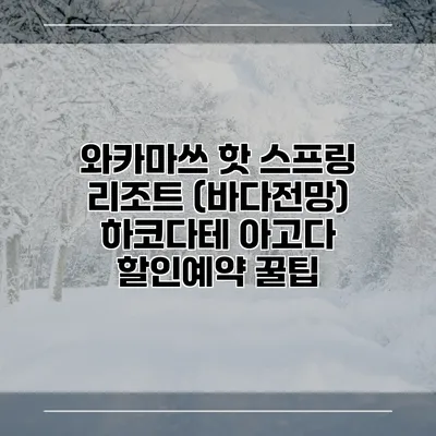 와카마쓰 핫 스프링 리조트 (바다전망) 하코다테 아고다 할인예약 꿀팁