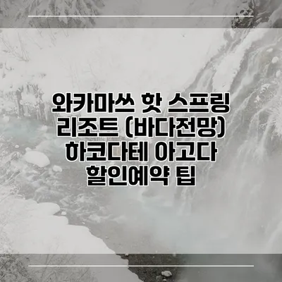 와카마쓰 핫 스프링 리조트 (바다전망) 하코다테 아고다 할인예약 팁