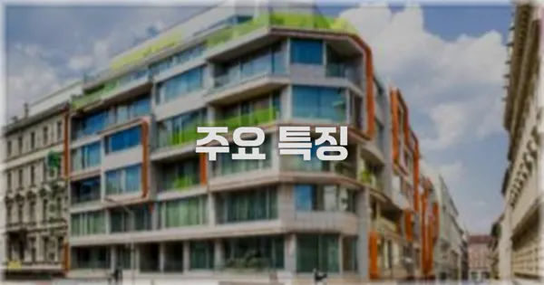 ✨ 주요 특징