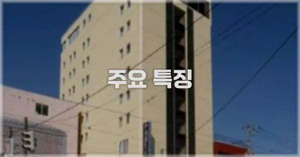 ✨ 주요 특징