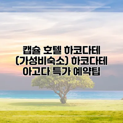 캡슐 호텔 하코다테 (가성비숙소) 하코다테 아고다 특가 예약팁