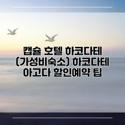 캡슐 호텔 하코다테 (가성비숙소) 하코다테 아고다 할인예약 팁