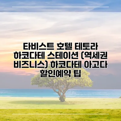 타비스트 호텔 테토라 하코다테 스테이션 (역세권 비즈니스) 하코다테 아고다 할인예약 팁