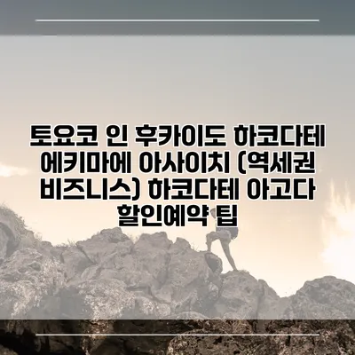 토요코 인 후카이도 하코다테 에키마에 아사이치 (역세권 비즈니스) 하코다테 아고다 할인예약 팁