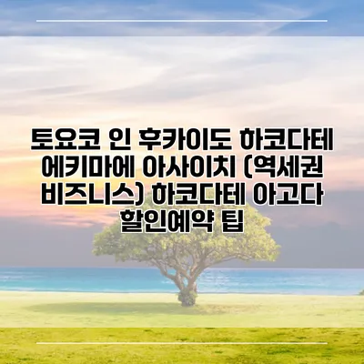 토요코 인 후카이도 하코다테 에키마에 아사이치 (역세권 비즈니스) 하코다테 아고다 할인예약 팁
