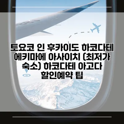 토요코 인 후카이도 하코다테 에키마에 아사이치 (최저가 숙소) 하코다테 아고다 할인예약 팁