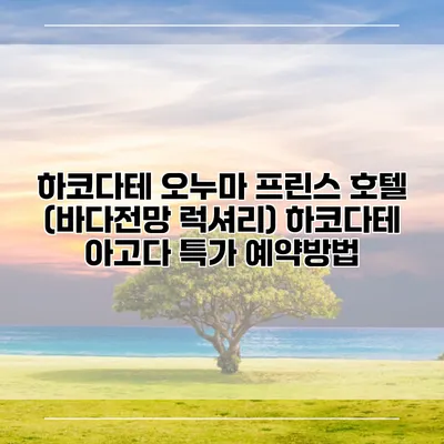 하코다테 오누마 프린스 호텔 (바다전망 럭셔리) 하코다테 아고다 특가 예약방법