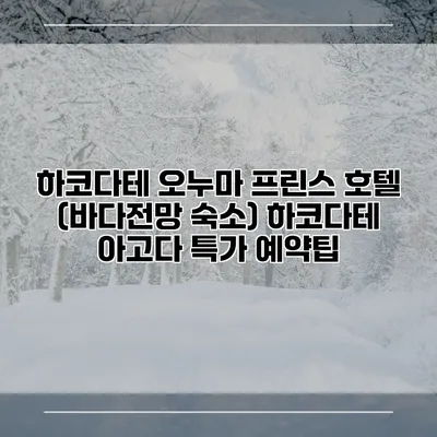 하코다테 오누마 프린스 호텔 (바다전망 숙소) 하코다테 아고다 특가 예약팁