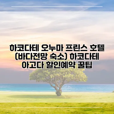 하코다테 오누마 프린스 호텔 (바다전망 숙소) 하코다테 아고다 할인예약 꿀팁