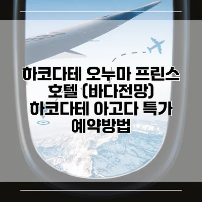 하코다테 오누마 프린스 호텔 (바다전망) 하코다테 아고다 특가 예약방법