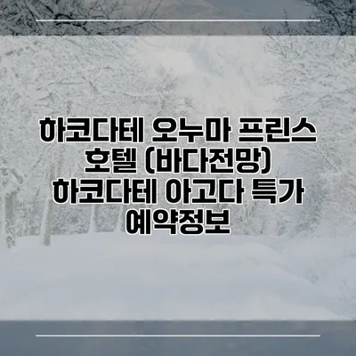 하코다테 오누마 프린스 호텔 (바다전망) 하코다테 아고다 특가 예약정보