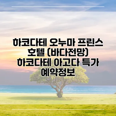 하코다테 오누마 프린스 호텔 (바다전망) 하코다테 아고다 특가 예약정보