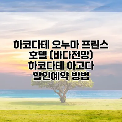 하코다테 오누마 프린스 호텔 (바다전망) 하코다테 아고다 할인예약 방법