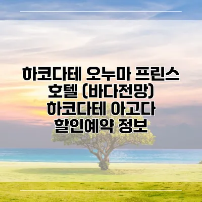 하코다테 오누마 프린스 호텔 (바다전망) 하코다테 아고다 할인예약 정보