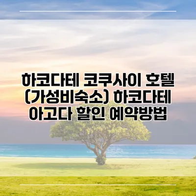 하코다테 코쿠사이 호텔 (가성비숙소) 하코다테 아고다 할인 예약방법