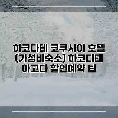 하코다테 코쿠사이 호텔 (가성비숙소) 하코다테 아고다 할인예약 팁