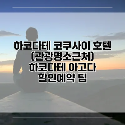 하코다테 코쿠사이 호텔 (관광명소근처) 하코다테 아고다 할인예약 팁