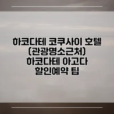 하코다테 코쿠사이 호텔 (관광명소근처) 하코다테 아고다 할인예약 팁