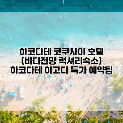 하코다테 코쿠사이 호텔 (바다전망 럭셔리숙소) 하코다테 아고다 특가 예약팁