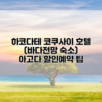 하코다테 코쿠사이 호텔 (바다전망 숙소) 아고다 할인예약 팁