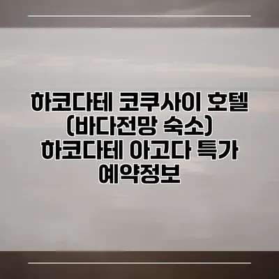 하코다테 코쿠사이 호텔 (바다전망 숙소) 하코다테 아고다 특가 예약정보