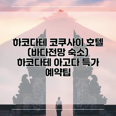 하코다테 코쿠사이 호텔 (바다전망 숙소) 하코다테 아고다 특가 예약팁