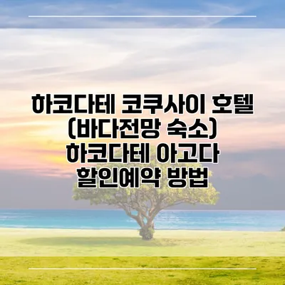 하코다테 코쿠사이 호텔 (바다전망 숙소) 하코다테 아고다 할인예약 방법