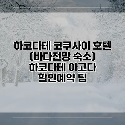 하코다테 코쿠사이 호텔 (바다전망 숙소) 하코다테 아고다 할인예약 팁