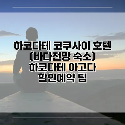 하코다테 코쿠사이 호텔 (바다전망 숙소) 하코다테 아고다 할인예약 팁