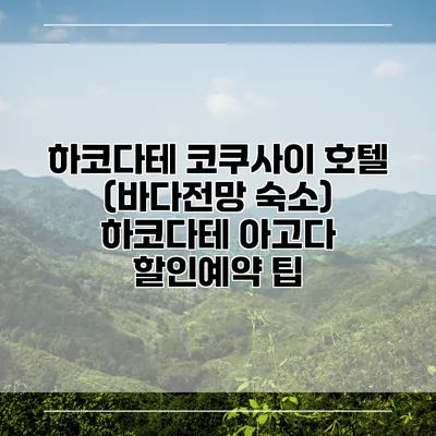 하코다테 코쿠사이 호텔 (바다전망 숙소) 하코다테 아고다 할인예약 팁