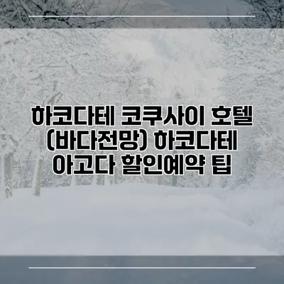 하코다테 코쿠사이 호텔 (바다전망) 하코다테 아고다 할인예약 팁
