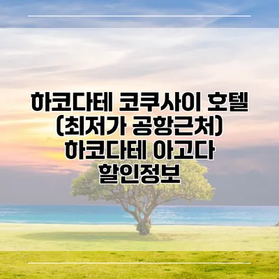 하코다테 코쿠사이 호텔 (최저가 공항근처) 하코다테 아고다 할인정보