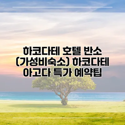 하코다테 호텔 반소 (가성비숙소) 하코다테 아고다 특가 예약팁