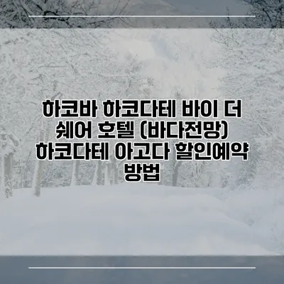 하코바 하코다테 바이 더 쉐어 호텔 (바다전망) 하코다테 아고다 할인예약 방법