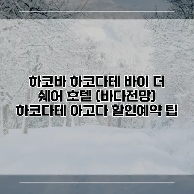 하코바 하코다테 바이 더 쉐어 호텔 (바다전망) 하코다테 아고다 할인예약 팁