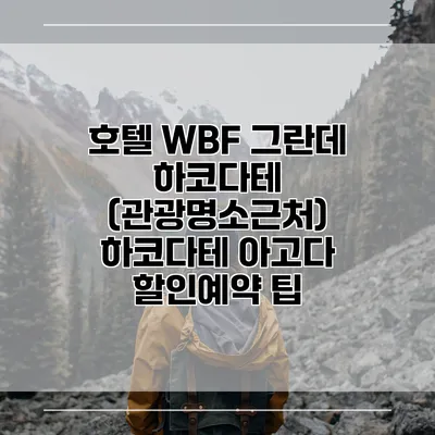 호텔 WBF 그란데 하코다테 (관광명소근처) 하코다테 아고다 할인예약 팁