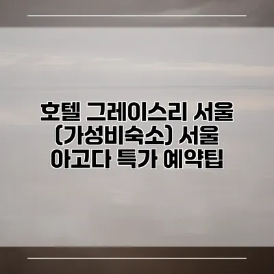 호텔 그레이스리 서울 (가성비숙소) 서울 아고다 특가 예약팁