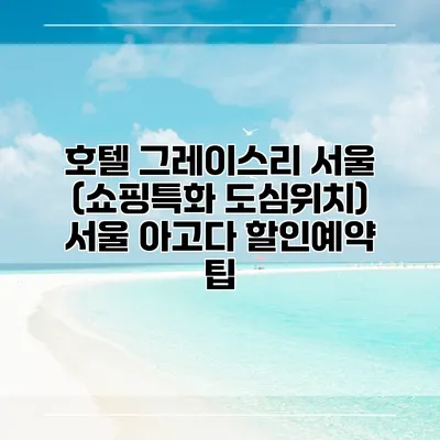 호텔 그레이스리 서울 (쇼핑특화 도심위치) 서울 아고다 할인예약 팁