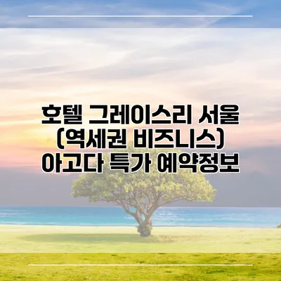 호텔 그레이스리 서울 (역세권 비즈니스) 아고다 특가 예약정보